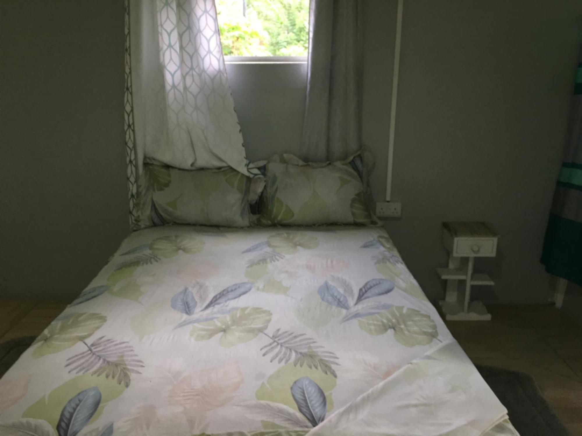 Anthurium Apartment Roseau Kültér fotó